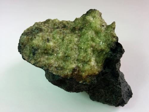 Enclave peridotítico en basalto<br />Caletón del Rijo, Yaiza, Lanzarote, Provincia de Las Palmas, Canarias, España<br />6 x 5 cm.<br /> (Autor: FranHB)