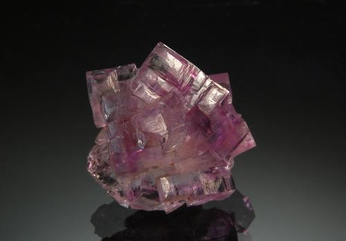 Fluorite<br />Jaimina Mine, Obdulia vein, Caravia mining area, Trechorio, Carrales, Caravia, Comarca Oriente, Principality of Asturias (Asturias), Spain<br />1.8 x 2.1 cm<br /> (Author: crosstimber)