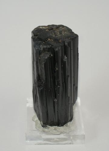 Schorl<br />Roc St Michel, Rescol, Fraisse-sur-Agout, Hérault, Occitanie, France<br />70mm x 20mm x 20mm<br /> (Author: Philippe Durand)