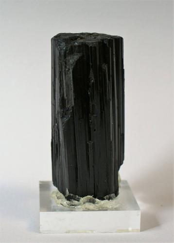Schorl<br />Roc St Michel, Rescol, Fraisse-sur-Agout, Hérault, Occitanie, Francia<br />70mm x 20mm x 20mm<br /> (Author: Philippe Durand)