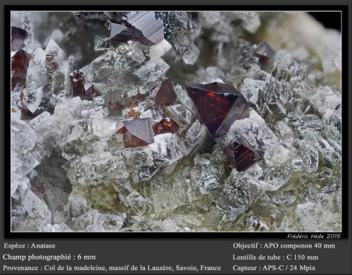 Anatase<br />Col de la Madeleine, Macizo La Lauzière, Saint-Jean-de-Maurienne, Saboya, Auvergne-Rhône-Alpes, Francia<br />fov 6 mm<br /> (Author: ploum)