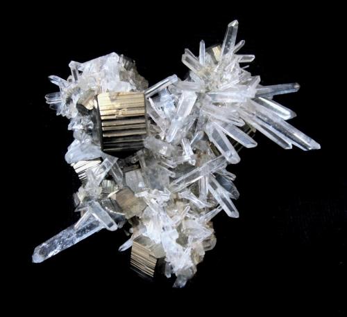 Pyrite, Quartz<br />Alimon Mine (Animon Mine), Huaron mining district, Huayllay District, Pasco Province, Pasco Department, Peru<br />Specimen size 6,5 cm<br /> (Author: Tobi)