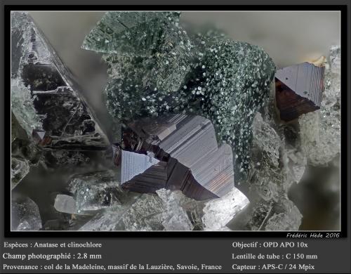 Anatase, Clinochlore, Bertrandite<br />Col de la Madeleine, La Lauzière Massif, Saint-Jean-de-Maurienne, Savoie, Auvergne-Rhône-Alpes, France<br />fov 2.8 mm<br /> (Author: ploum)