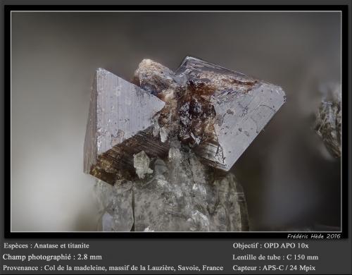 Anatase and Titanite<br />Col de la Madeleine, Macizo La Lauzière, Saint-Jean-de-Maurienne, Saboya, Auvergne-Rhône-Alpes, Francia<br />fov 2.8 mm<br /> (Author: ploum)