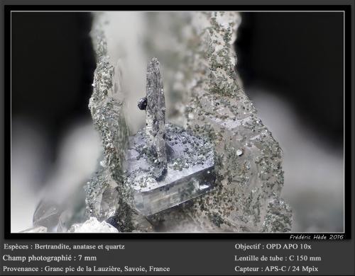 Bertrandite<br />Grand Pic de la Lauzière, La Lauzière Massif, Saint-Jean-de-Maurienne, Savoie, Auvergne-Rhône-Alpes, France<br />fov 7 mm<br /> (Author: ploum)