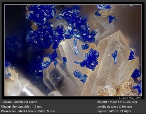 Azurite<br />Mont Chemin, Martigny, Wallis (Valais), Switzerland<br />fov 1.7 mm<br /> (Author: ploum)