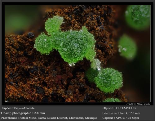 Adamite<br />Mina Potosí, Santo Domingo (Francisco Portillo), Distrito Santa Eulalia, Municipio Aquiles Serdán, Chihuahua, México<br />fov 2.8 mm<br /> (Author: ploum)