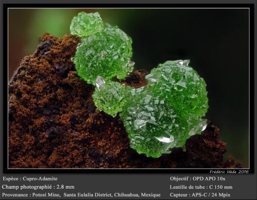 Adamite<br />Mina Potosí, Santo Domingo (Francisco Portillo), Distrito Santa Eulalia, Municipio Aquiles Serdán, Chihuahua, México<br />fov 2.8 mm<br /> (Author: ploum)