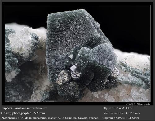 Anatase on Bertrandite<br />Col de la Madeleine, Macizo La Lauzière, Saint-Jean-de-Maurienne, Saboya, Auvergne-Rhône-Alpes, Francia<br />fov 5.5 mm<br /> (Author: ploum)