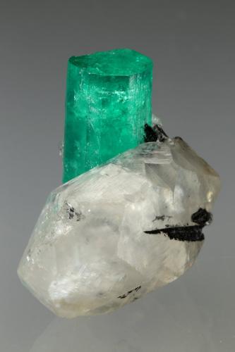 Beryl (variety emerald), Calcite<br />La Pita mining district, Municipio Maripí, Western Emerald Belt, Boyacá Department, Colombia<br />xl=25x8mm<br /> (Author: Fiebre Verde)