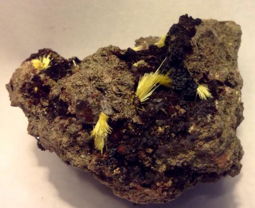 Uranophane, Goethite<br />Madawaska Mine, Faraday Township, Hastings County, Ontario, Canada<br />5.7 cm<br /> (Author: JC)