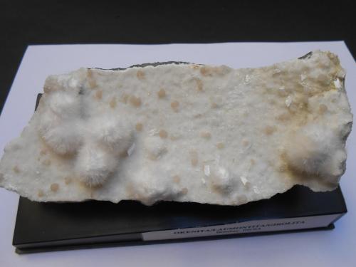 Okenita, Girolita, Laumontita<br />Cantera Malad, Malad, Mumbai (Bombay), Distrito Mumbai, Maharashtra, India<br />17 x 6 x 6 cm<br /> (Autor: Antonio Alcaide)