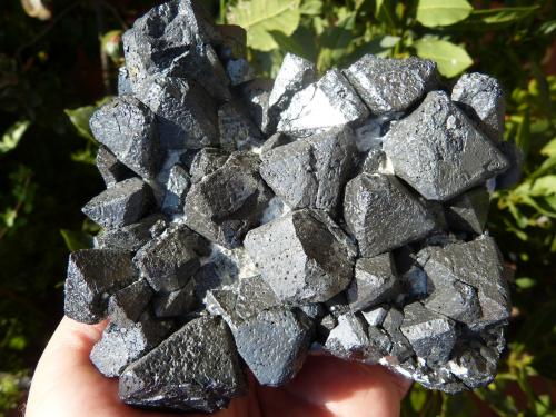 Magnetita<br />Kovdor Zheleznyi Mine, Kovdor Massif, Kola Peninsula, Murmanskaja Oblast, Northern Region, Russia<br />11 x 10 cm<br /> (Autor: nerofis2)