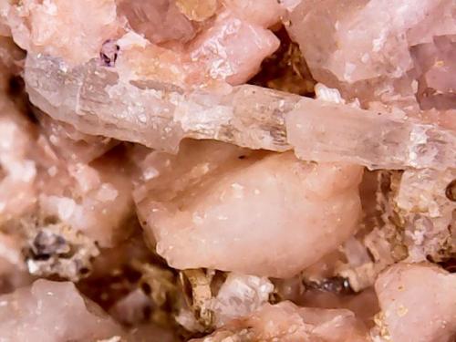 Apatito y oligoclasa<br />Vicente Marinho Mine, Mantena, Vale do Rio Doce, Minas Gerais, Brazil<br />4 x 0,5 x 0,6 mm<br /> (Autor: Anisio Claudio)