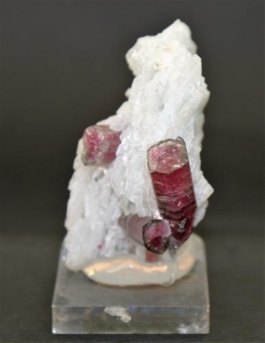 Elbaite and Albite (variety cleavelandite)<br />Pederneira claim, São José da Safira, Governador Valadares, Vale do Rio Doce, Minas Gerais, Brazil<br />45mm x 30mm x 20mm<br /> (Author: Philippe Durand)