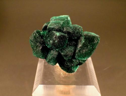 Malachite pseudomorph after Azurite<br />New Cornelia Mine, Ajo, Little Ajo Mountains, Ajo District, Pima County, Arizona, USA<br />42mm x 33mm<br /> (Author: Don Lum)