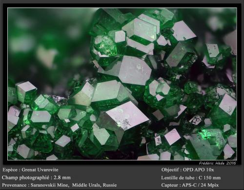 Uvarovite (Garnet Group)<br />Saranovskii Mine, Saranovskaya (Sarany), Gornozavodskii, Perm Krai, Ural, Russia<br />fov 2.8 mm<br /> (Author: ploum)