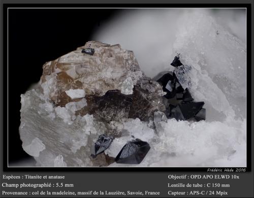 Titanite and Anatase<br />Col de la Madeleine, Macizo La Lauzière, Saint-Jean-de-Maurienne, Saboya, Auvergne-Rhône-Alpes, Francia<br />fov 5.5 mm<br /> (Author: ploum)