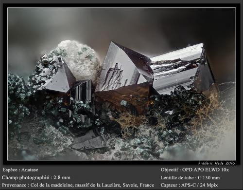 Anatase<br />Col de la Madeleine, Macizo La Lauzière, Saint-Jean-de-Maurienne, Saboya, Auvergne-Rhône-Alpes, Francia<br />fov 2.8 mm<br /> (Author: ploum)