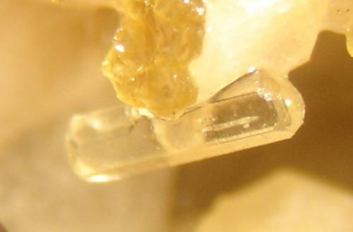 Apatito (Grupo)<br />Vicente Marinho Mine, Mantena, Vale do Rio Doce, Minas Gerais, Brazil<br />3 x 0,6 x 0,6 mm<br /> (Autor: Anisio Claudio)