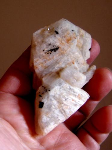 Albita (variedad oligoclasa) con Chorlo (Grupo Turmalina)<br />São João do Manteninha, Vale do Rio Doce, Minas Gerais, Brazil<br />9 x 4 x 0,7 cm<br /> (Autor: Anisio Claudio)
