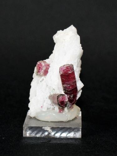 Elbaite and Albite (variety cleavelandite)<br />Pederneira claim, São José da Safira, Governador Valadares, Vale do Rio Doce, Minas Gerais, Brazil<br />45mm x 30mm x 20mm<br /> (Author: Philippe Durand)