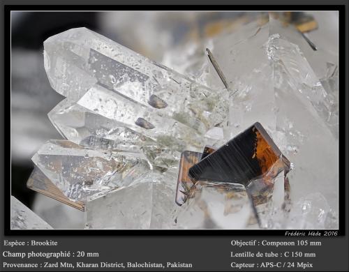 Brookite on Quartz<br />Zard Mountain, Ras Koh Mountains, Kharan District, Balochistan (Baluchistan), Pakistan<br />fov 20 mm<br /> (Author: ploum)