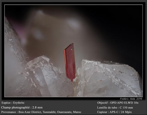 Erythrite on Quartz<br />Bou Azzer mining district, Drâa-Tafilalet Region, Morocco<br />fov 2.8 mm<br /> (Author: ploum)