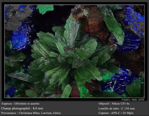 Olivenite and Azurite<br />Mina Christiana, Minas Kamariza, Agios Konstantinos, Distrito minero Lavrion, Prefectura Attikí (Attica), Grecia<br />fov 8.0 mm<br /> (Author: ploum)