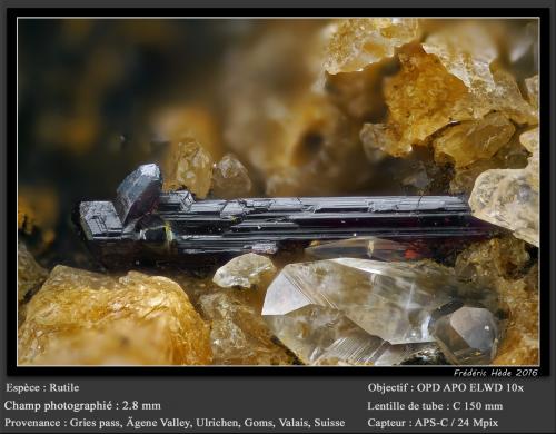 Rutile<br />Gries Pass, Formazza, Formazza Valley, Ossola Valley, Verbano-Cusio-Ossola Province, Piedmont (Piemonte), Italy<br />fov 2.8 mm<br /> (Author: ploum)