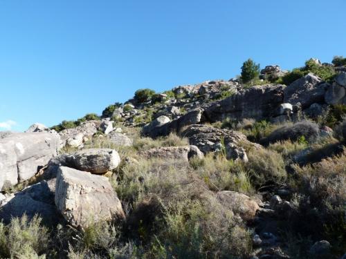 The vicinity just above the digging area. (Author: Pierre Joubert)