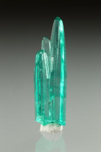 Beryl (variety emerald)<br />La Pita mining district, Municipio Maripí, Western Emerald Belt, Boyacá Department, Colombia<br />20x5mm<br /> (Author: Fiebre Verde)