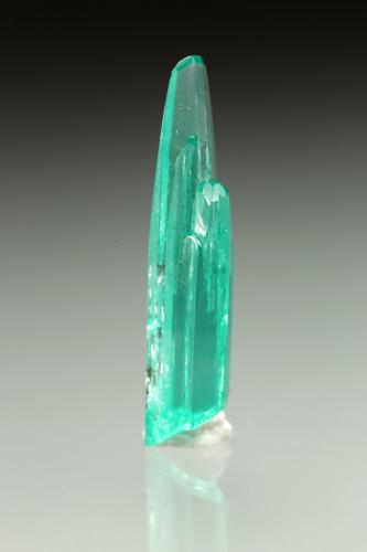 Beryl (variety emerald)<br />La Pita mining district, Municipio Maripí, Western Emerald Belt, Boyacá Department, Colombia<br />20x5mm<br /> (Author: Fiebre Verde)