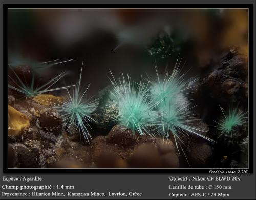 Agardite<br />Hilarion Mine, Hilarion area, Kamariza Mines, Agios Konstantinos, Lavrion Mining District, Attikí (Attica) Prefecture, Greece<br />fov 1.4 mm<br /> (Author: ploum)