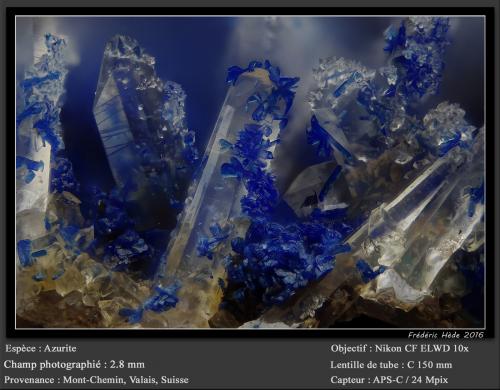 Azurite on Quartz<br />Mont Chemin, Martigny, Wallis (Valais), Switzerland<br />fov 2.8 mm<br /> (Author: ploum)