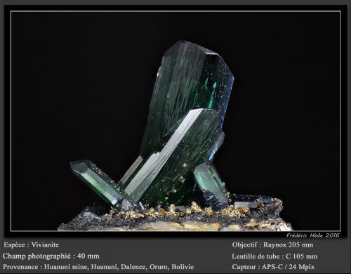 Vivianite<br />Mina Huanuni, Huanuni, Provincia Dalence, Departamento Oruro, Bolivia<br />fov 40 mm<br /> (Author: ploum)