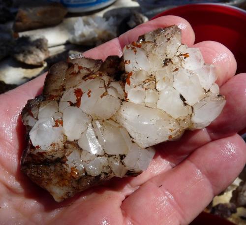 Quartz<br />Ceres, Warmbokkeveld Valley, Ceres, Valle Warmbokkeveld, Witzenberg, Cape Winelands, Western Cape Province, South Africa<br />Hands for size.<br /> (Author: Pierre Joubert)
