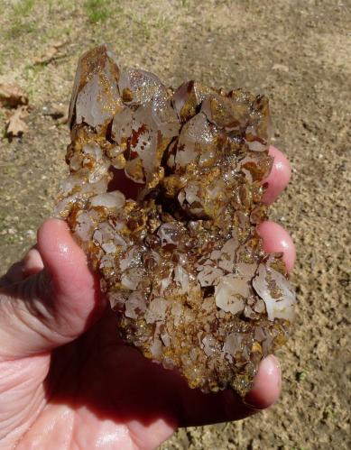 Quartz<br />Ceres, Warmbokkeveld Valley, Ceres, Valle Warmbokkeveld, Witzenberg, Cape Winelands, Western Cape Province, South Africa<br /><br /> (Author: Pierre Joubert)