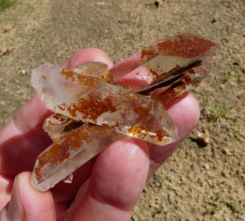 Quartz<br />Ceres, Warmbokkeveld Valley, Ceres, Valle Warmbokkeveld, Witzenberg, Cape Winelands, Western Cape Province, South Africa<br />Hands for size.<br /> (Author: Pierre Joubert)