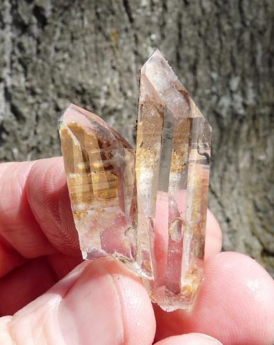 Quartz<br />Ceres, Warmbokkeveld Valley, Ceres, Valle Warmbokkeveld, Witzenberg, Cape Winelands, Western Cape Province, South Africa<br />Hands for size.<br /> (Author: Pierre Joubert)