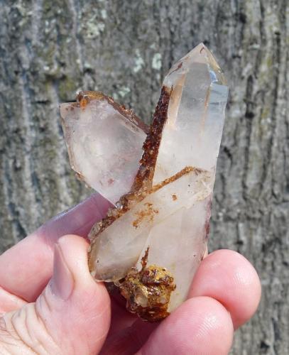 Quartz<br />Ceres, Warmbokkeveld Valley, Ceres, Valle Warmbokkeveld, Witzenberg, Cape Winelands, Western Cape Province, South Africa<br />Hands for size.<br /> (Author: Pierre Joubert)