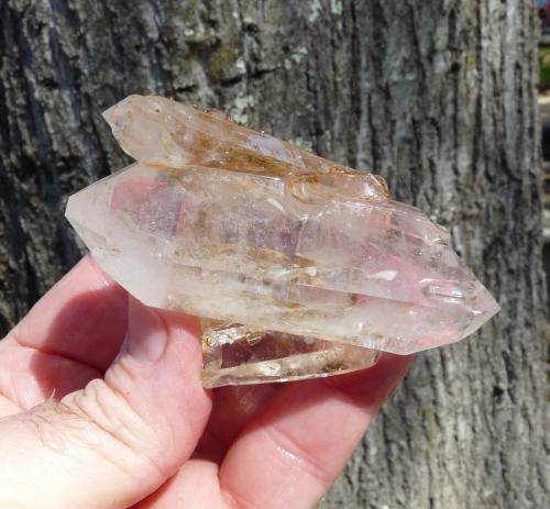 Quartz<br />Ceres, Warmbokkeveld Valley, Ceres, Valle Warmbokkeveld, Witzenberg, Cape Winelands, Provincia Occidental del Cabo, Sudáfrica<br />Hands for size.<br /> (Author: Pierre Joubert)