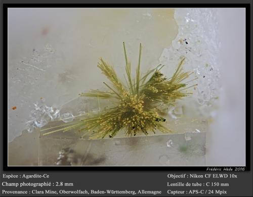 Agardite-(Ce)<br />Clara Mine, Rankach Valley, Oberwolfach, Wolfach, Black Forest, Baden-Württemberg, Germany<br />fov 2.8 mm<br /> (Author: ploum)