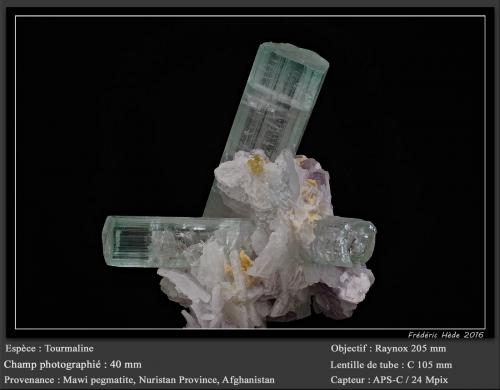 Tourmaline<br />Pegmatita Mawi, Nilaw-Kolum, Distrito Du Ab, Provincia Nuristan, Afganistán<br />fov 40 mm<br /> (Author: ploum)