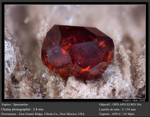 Spessartine (Garnet Group)<br />East Grants Ridge, Cibola County, New Mexico, USA<br />fov 2.8 mm<br /> (Author: ploum)