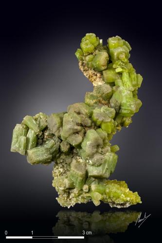 Pyromorphite<br />Daoping Mine, Gongcheng, Guilin Prefecture, Guangxi Zhuang Autonomous Region, China<br />67 X 36 mm<br /> (Author: Manuel Mesa)