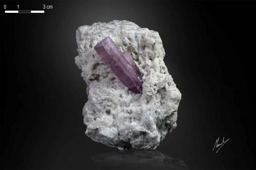 Elbaite (Tourmaline Group) variety rubellite<br />Paprok, Distrito Kamdesh, Provincia Nuristan, Afganistán<br />108 x 60 mm<br /> (Author: Manuel Mesa)