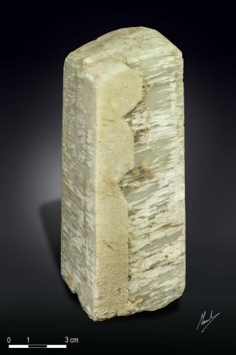 Microcline<br />Shigar Valley, Shigar District, Gilgit-Baltistan (Northern Areas), Pakistan<br />152 X 54 mm<br /> (Author: Manuel Mesa)