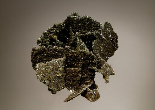 Titanite<br />Zona Imilchil, Anti-Atlas, Provincia Er Rachidia, Región Drâa-Tafilalet, Marruecos<br />7.0 x 8.5 cm<br /> (Author: crosstimber)