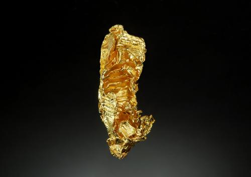 Gold<br />Serra do Caldeirão claims, Pontes e Lacerda, Alto Guaporé District, Mato Grosso, Brazil<br />2.0 x 4.0 cm<br /> (Author: crosstimber)